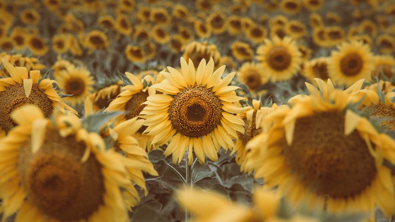 جذاب&zwnj;ترین تصاویر پس زمینه