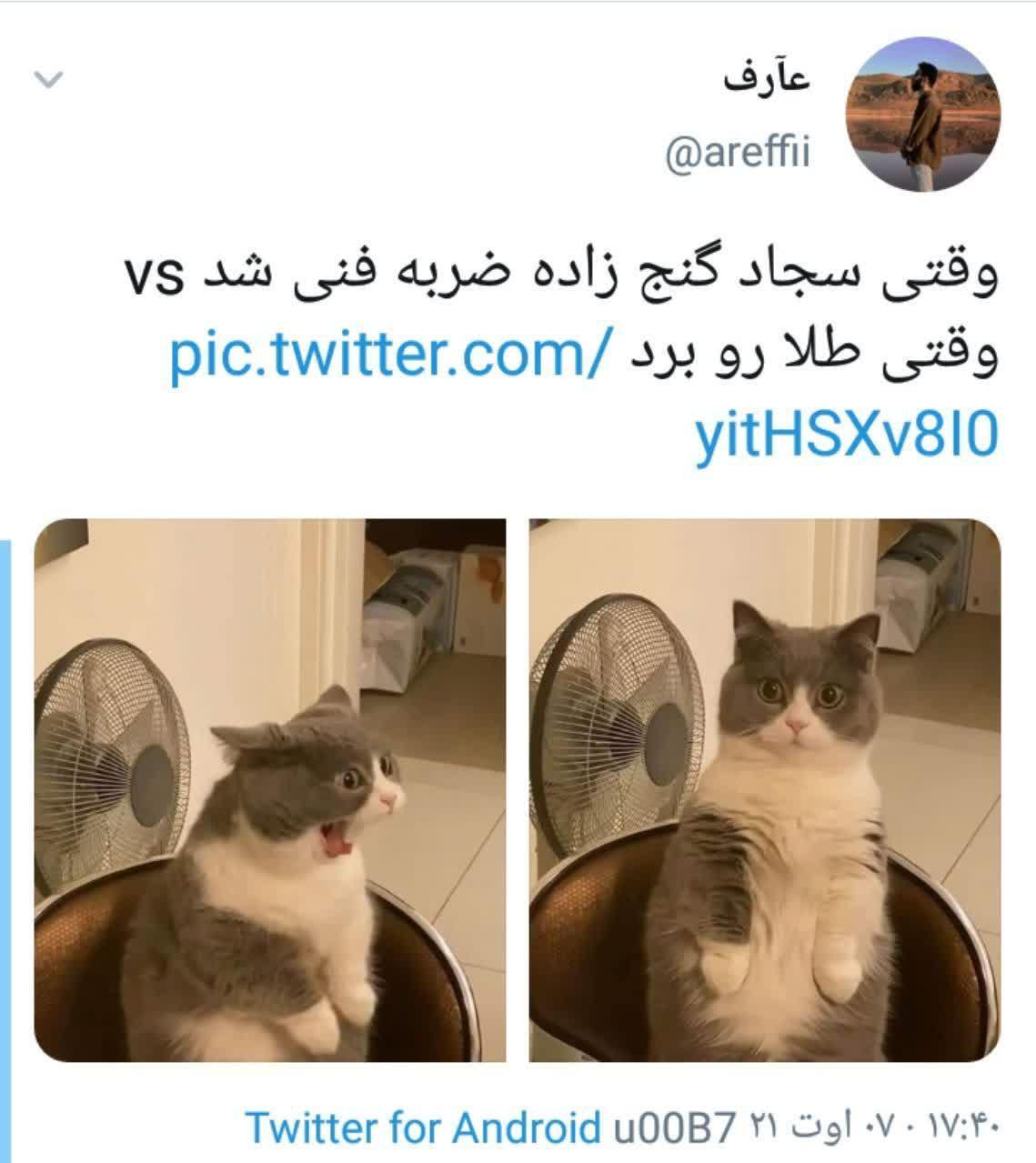 /