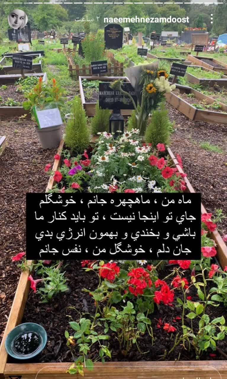 /