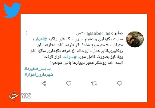 سایت عقیم سازی &laquo;سگ&zwnj;های بلاصاحب&raquo; اهواز به صورت کامل سرقت شد!