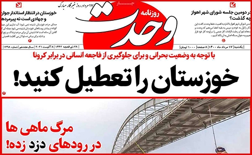 مرگ تدریجی یک رویا/ رنج گنج/ وقتی مرغ همسایه غاز می شود