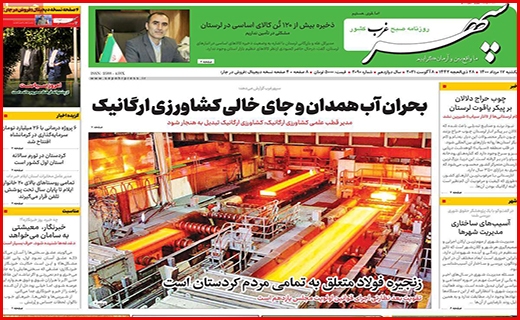 مرگ تدریجی یک رویا/ رنج گنج/ وقتی مرغ همسایه غاز می شود