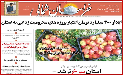مرگ تدریجی یک رویا/ رنج گنج/ وقتی مرغ همسایه غاز می شود