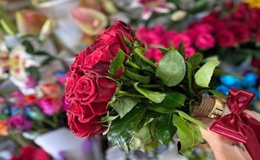 عطر گل رز خراسان جنوبی به مشام خارجی ها نمی رسد/ زرد شدن چهره گل های سرخ در سایه بی توجهی ها