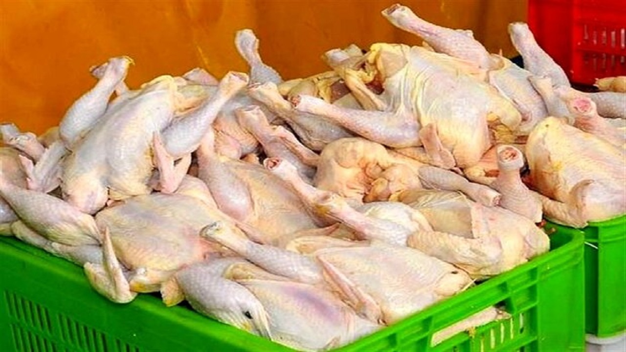 جریمه میلیونی عرضه کننده خارج از شبکه توزیع مرغ در سیاهکل