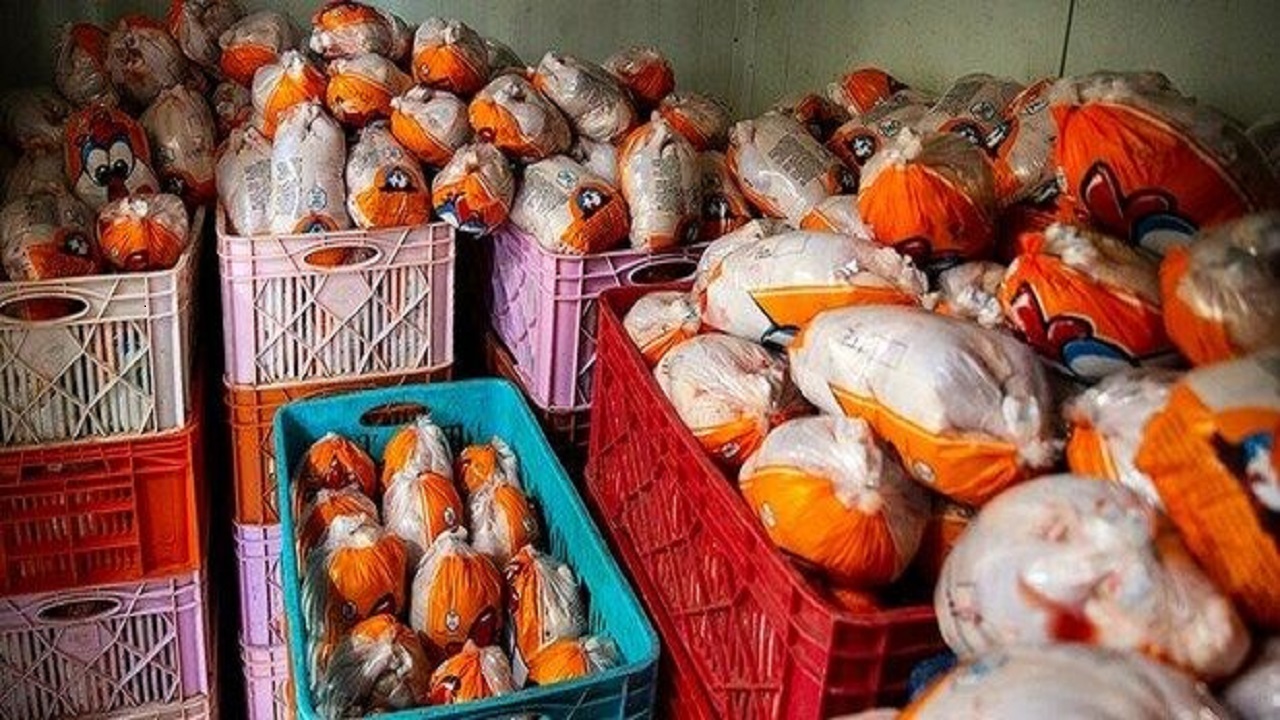 کشف ۵۰۰ کیلوگرم مرغ احتکار شده در ملایر