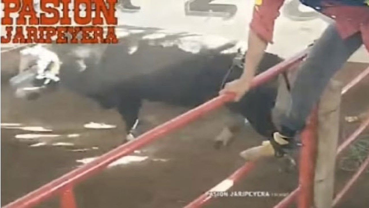 لحظه وحشتناک حمله گاو به تماشاچیان