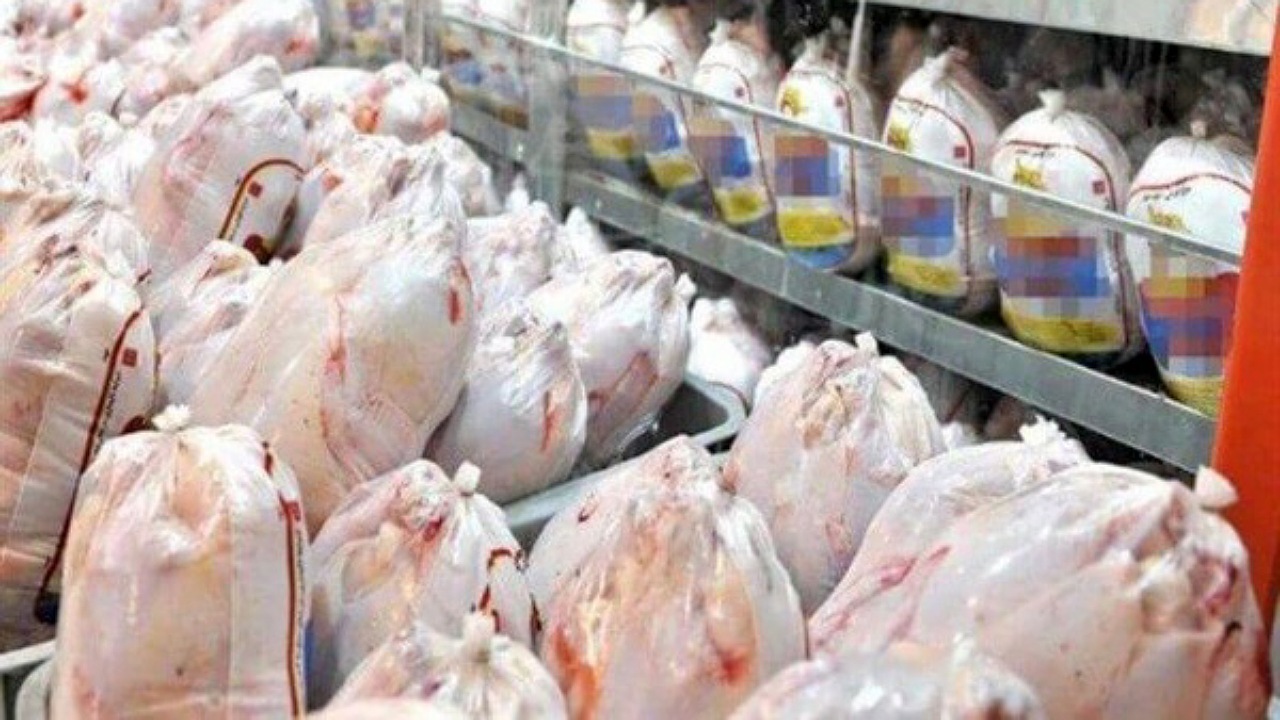معضل کمبود مرغ در اصفهان با افزایش کشتار حل خواهد شد