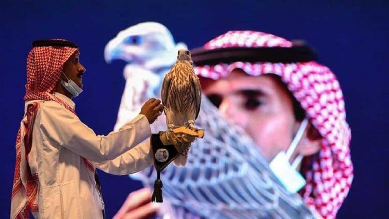 گران‌ترین شاهین در عربستان به فروش رسید