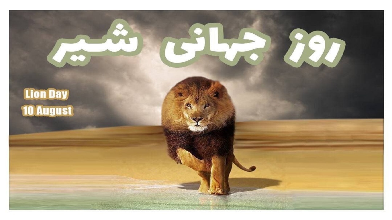 هیرمان شاه گربه سانان ایرانی/ از تاریخ تا هالیوود با سلطان جنگل
