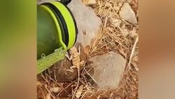 لحظه آب خوردن حلزون + فیلم
