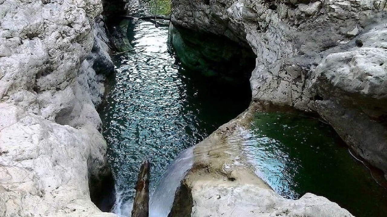 دزده قربانی گرفت