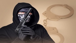 میمون سارقی که از غفلت یک خانم استفاده کرد + فیلم