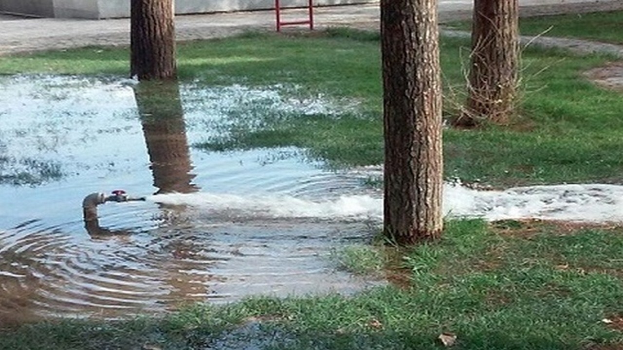 شناسایی۷۶ انشعاب غیرمجاز در فضای سبز تربت حیدریه