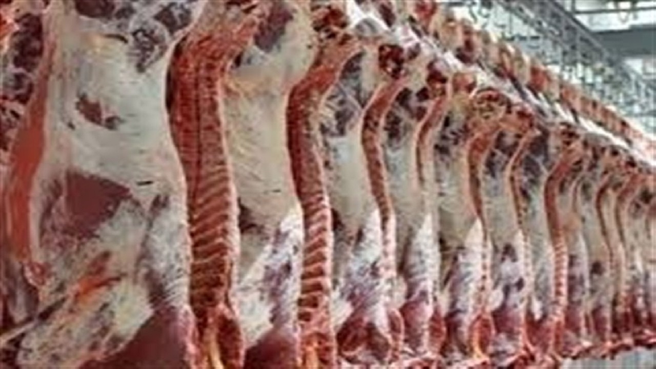 جولان دلالان در شبکه توزیع گوشت قرمز