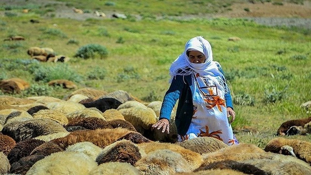 افزایش مستمری کشاورزان و روستائیان زنجانی