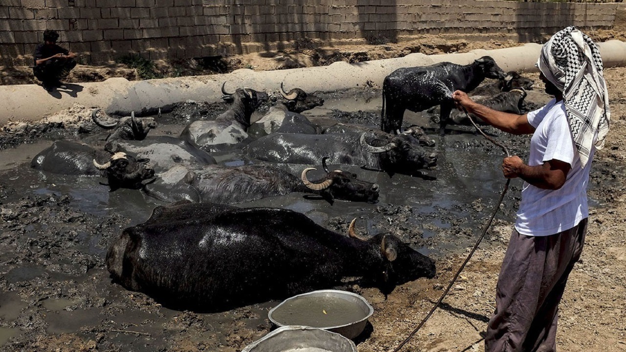مشکلات کنونی نتیجه ضعف مدیران در انجام وظایف قانونی است