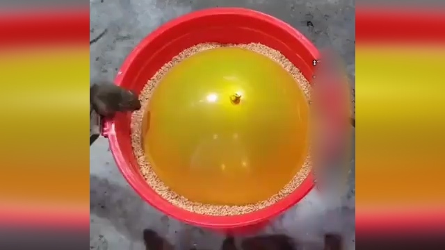 تله موش بادکنکی + فیلم