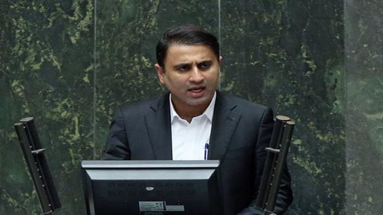 سخنگوی کمیسیون کشاورزی مجلس: سالانه ۷۰۰ میلیون دلار میوه‌های گرمسیری به کشور وارد می‌شود