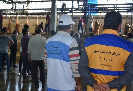 نظارت دامپزشکی بر کشتار بهداشتی دام در ایام محرم
