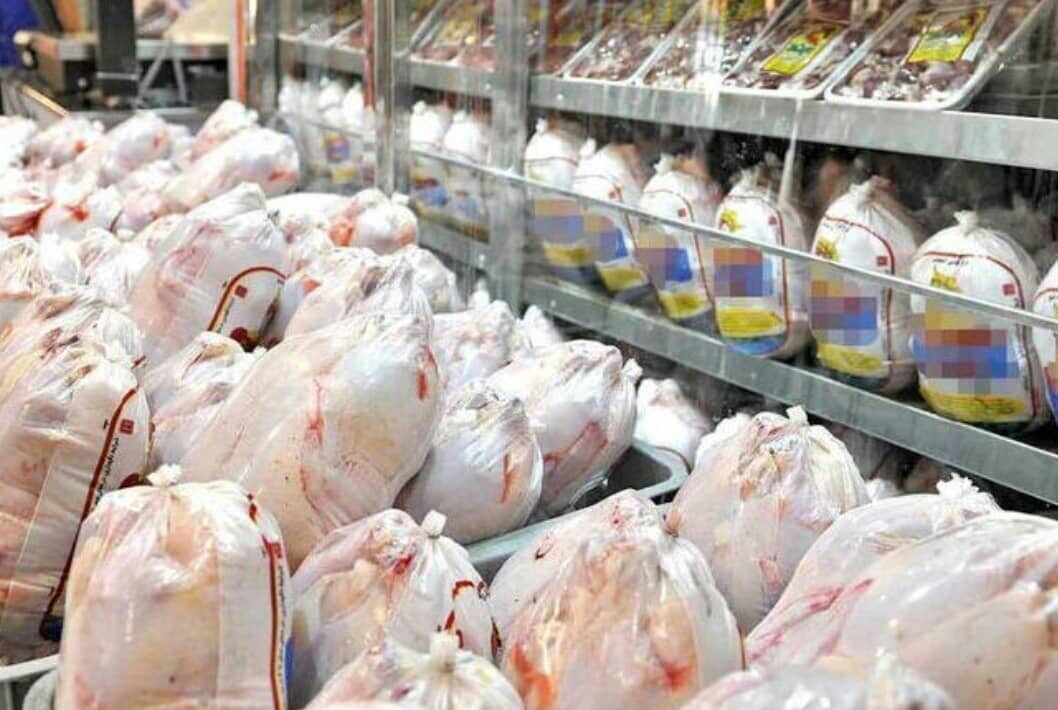 مشکلی در تأمین گوشت مرغ در تایباد وجود ندارد