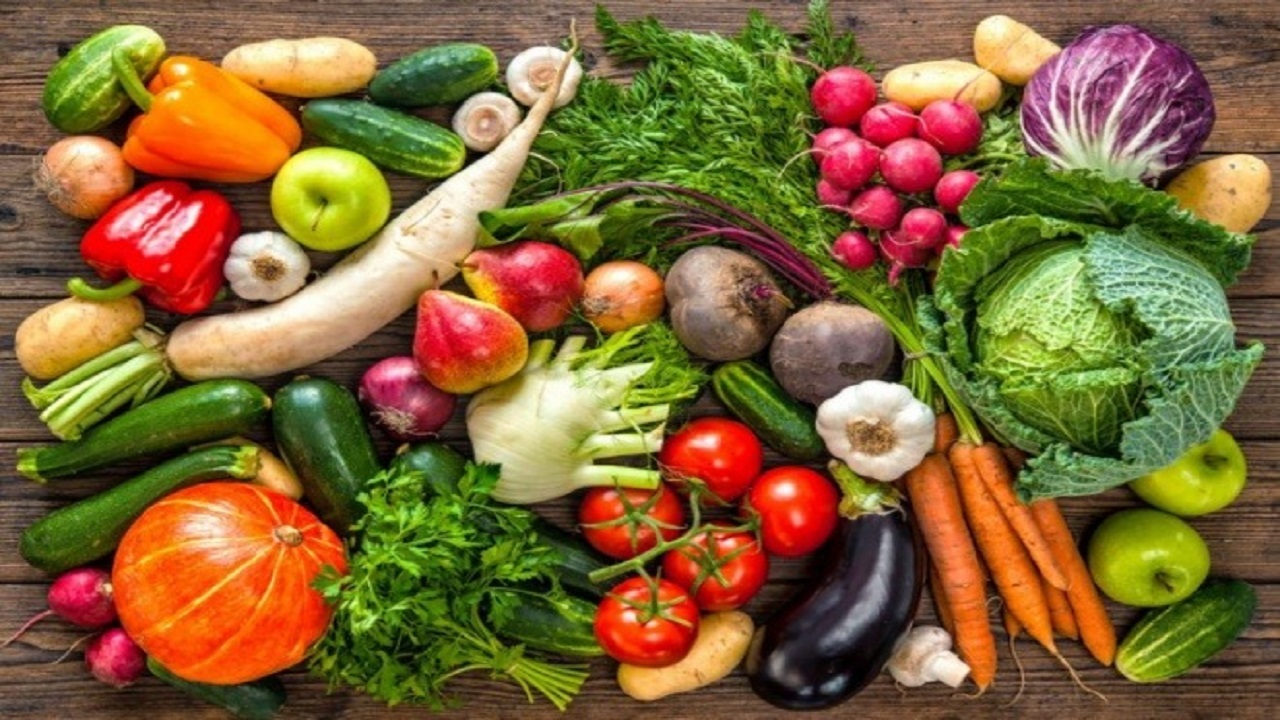 منابع ژنتیکی ضامن پایداری تولید غذا/ موسسه رازی مظلوم واقع شده است