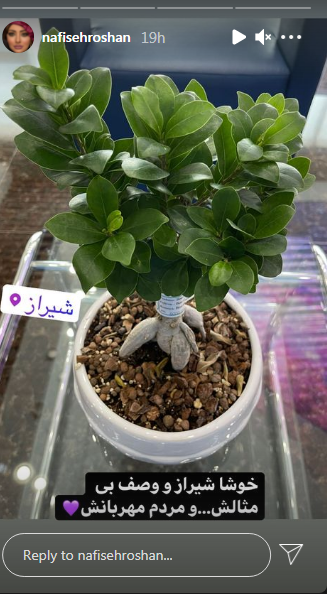 نفیسه روشن