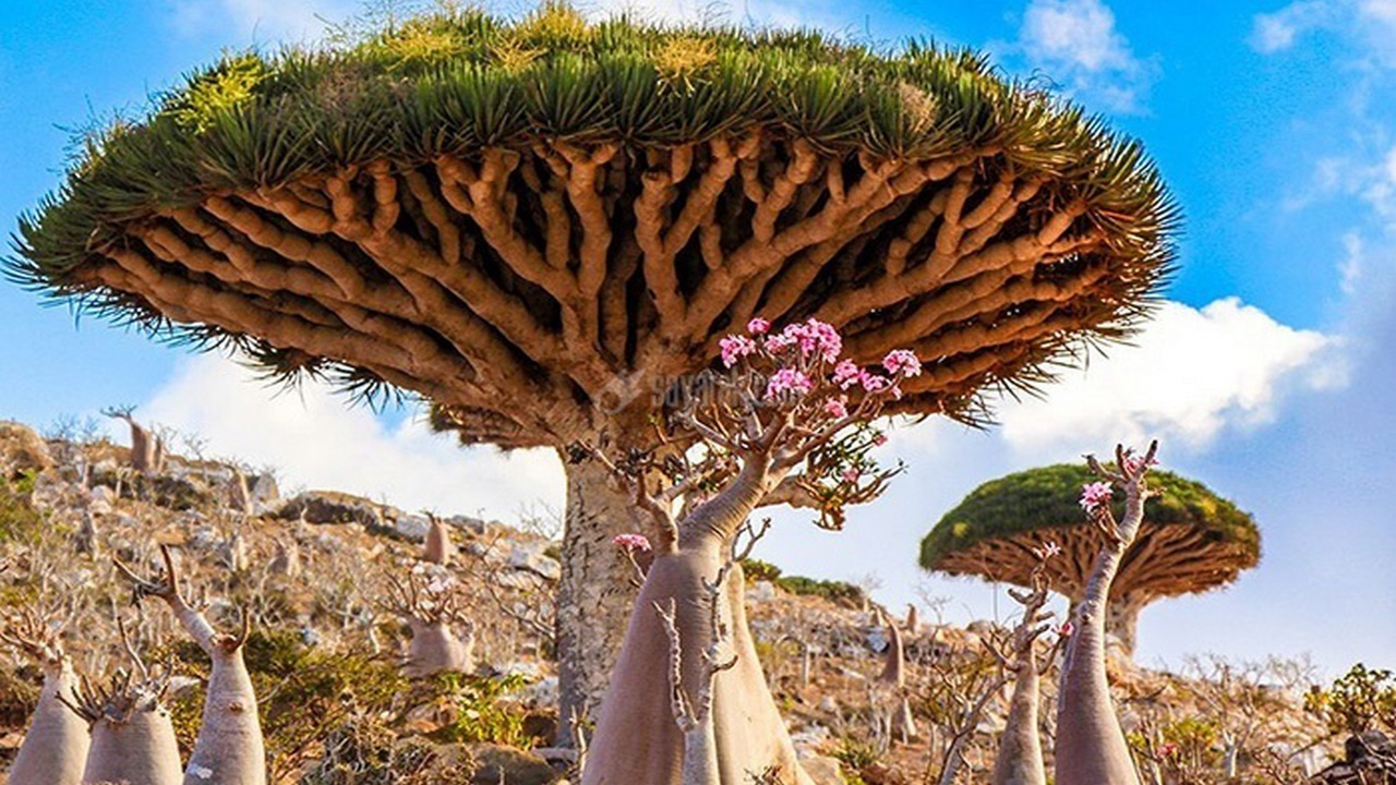 جزیره‌ای که به بهشت روی زمین مشهور است + تصاویر