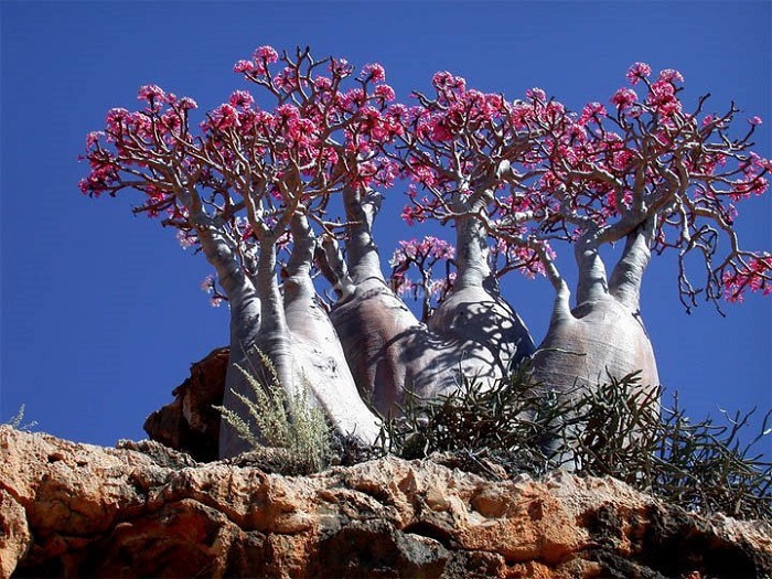 جزیره&zwnj;ای که به بهشت روی زمین مشهور است + تصاویر