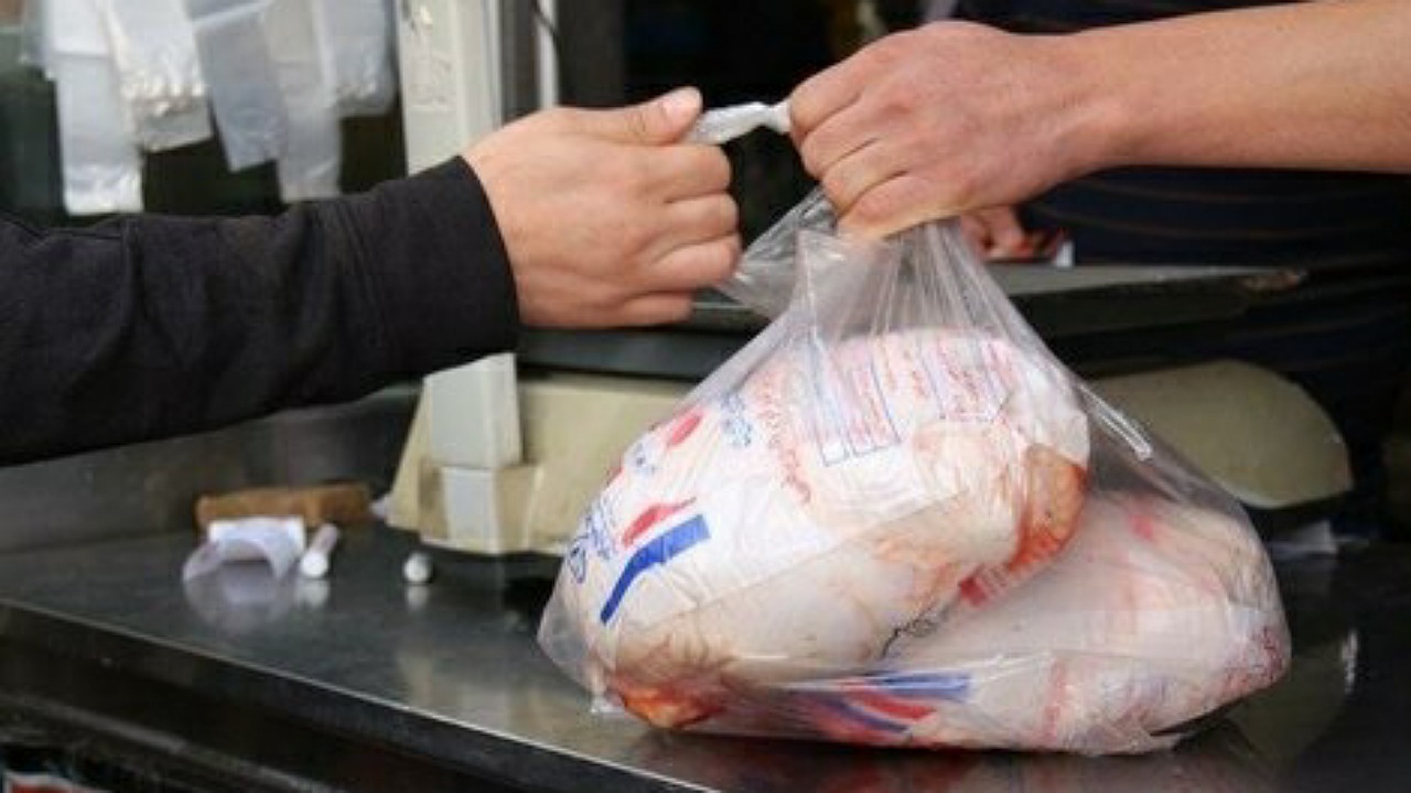 نبود تعادل میان تقاضا و کشتار مرغ در اصفهان