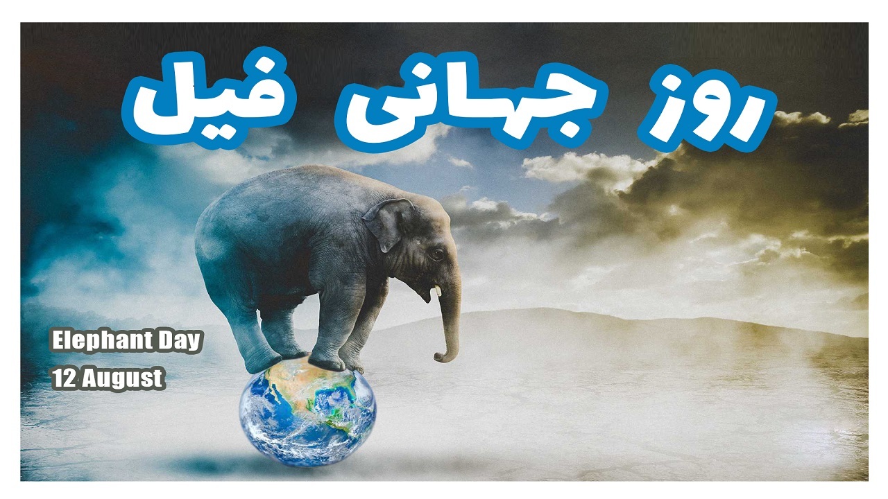 از اصحاب فیل تا جمهوری خواهان آمریکا و فیلی که به جرم قتل اعدام شد