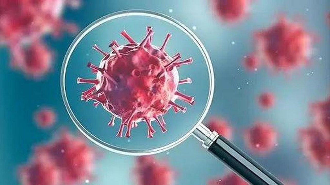 پذیرش ۲۰۶ بیمار کرونایی در یک شبانه روز