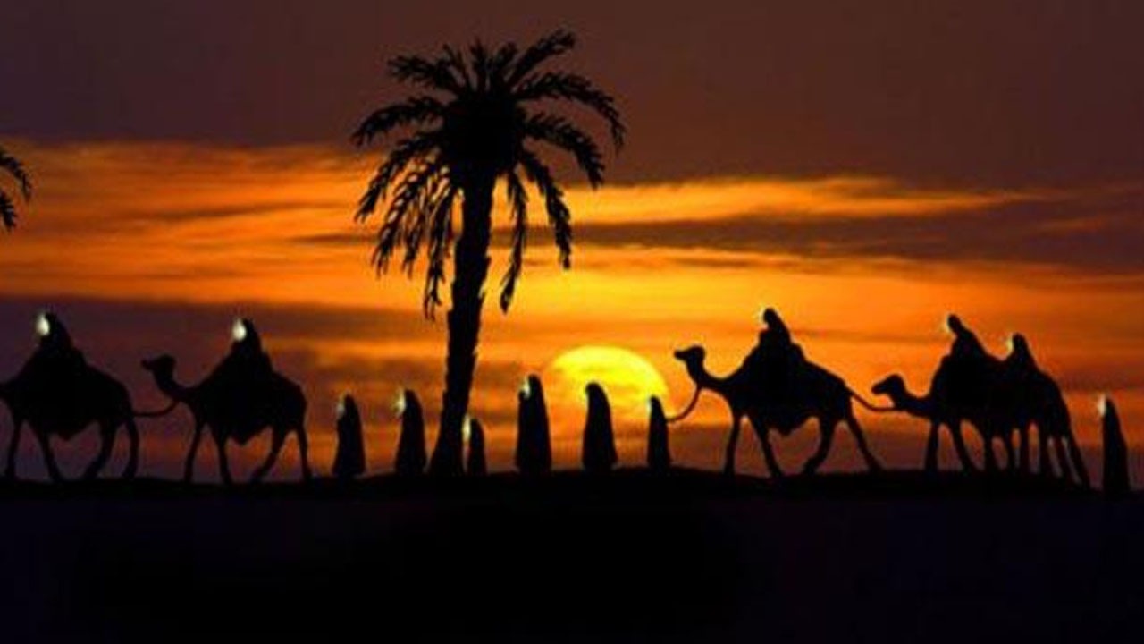 چرا امام حسین (ع) قبل از شهادت زمین کربلا را خریدند؟