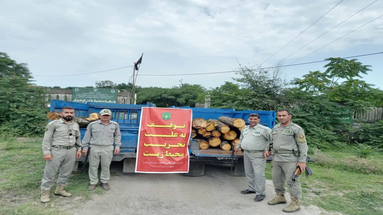 کشف چوب قاچاق در پناهگاه حیات وحش آستارا