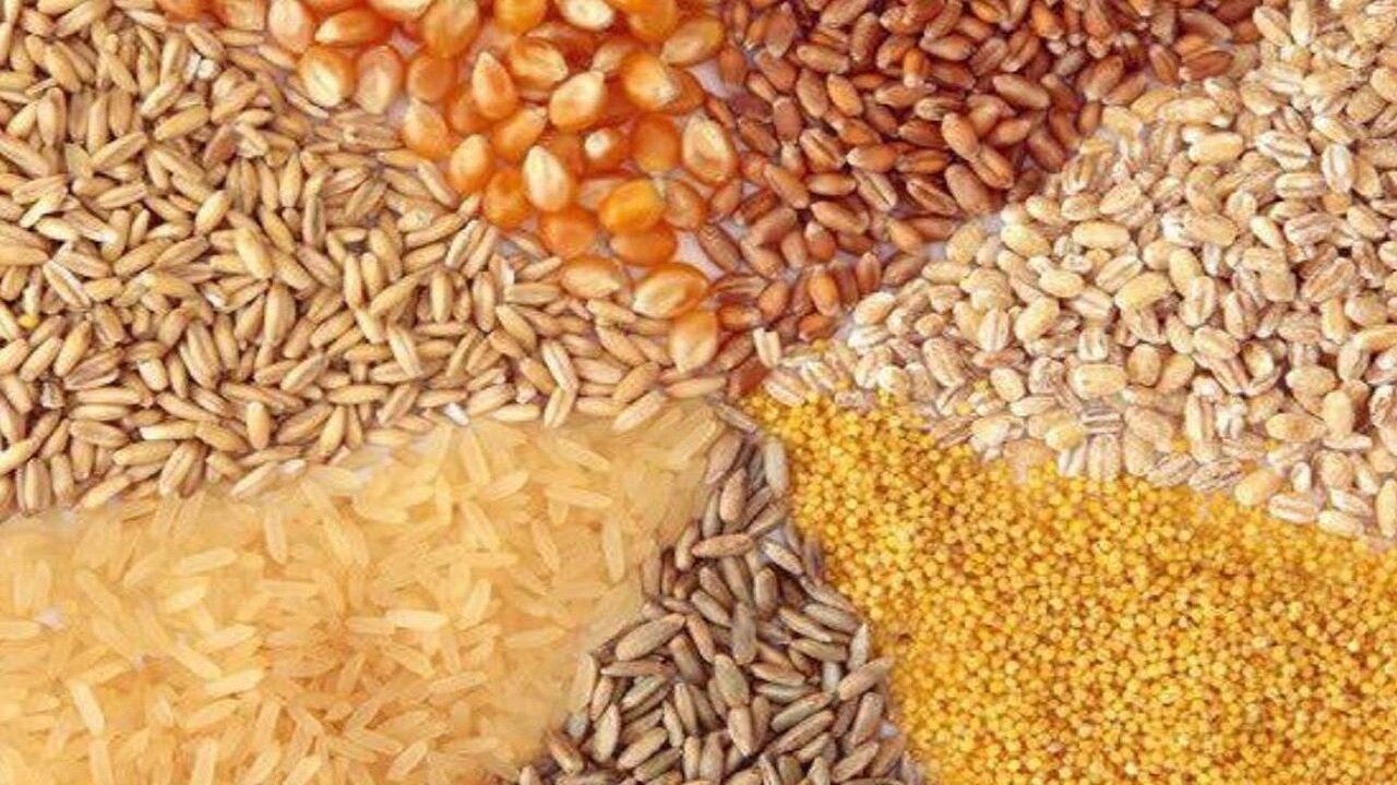 توزیع ۱۷ هزار تن نهاده دامی در جغتای