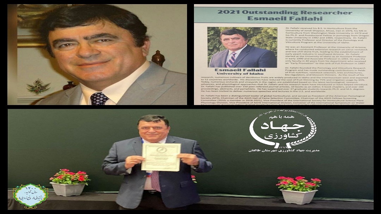 یک طالقانی، برجسته ترین محقق آمریکا شد