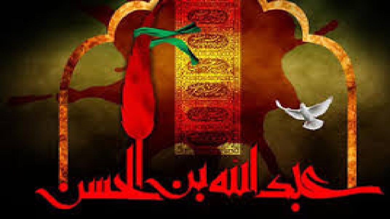روضه شب پنجم/ عبدالله بن حسن و حضرت حبیب بن مظاهر