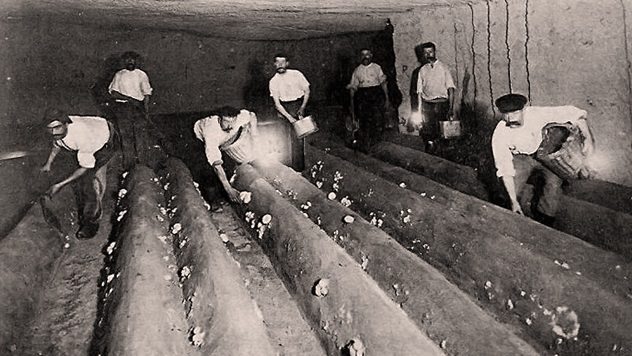 حقایقی تکان دهنده از دخمه مردگان پاریس/////حقایقی از دخمه مردگان پاریس که مو به تنتان سیخ می&zwnj;کند