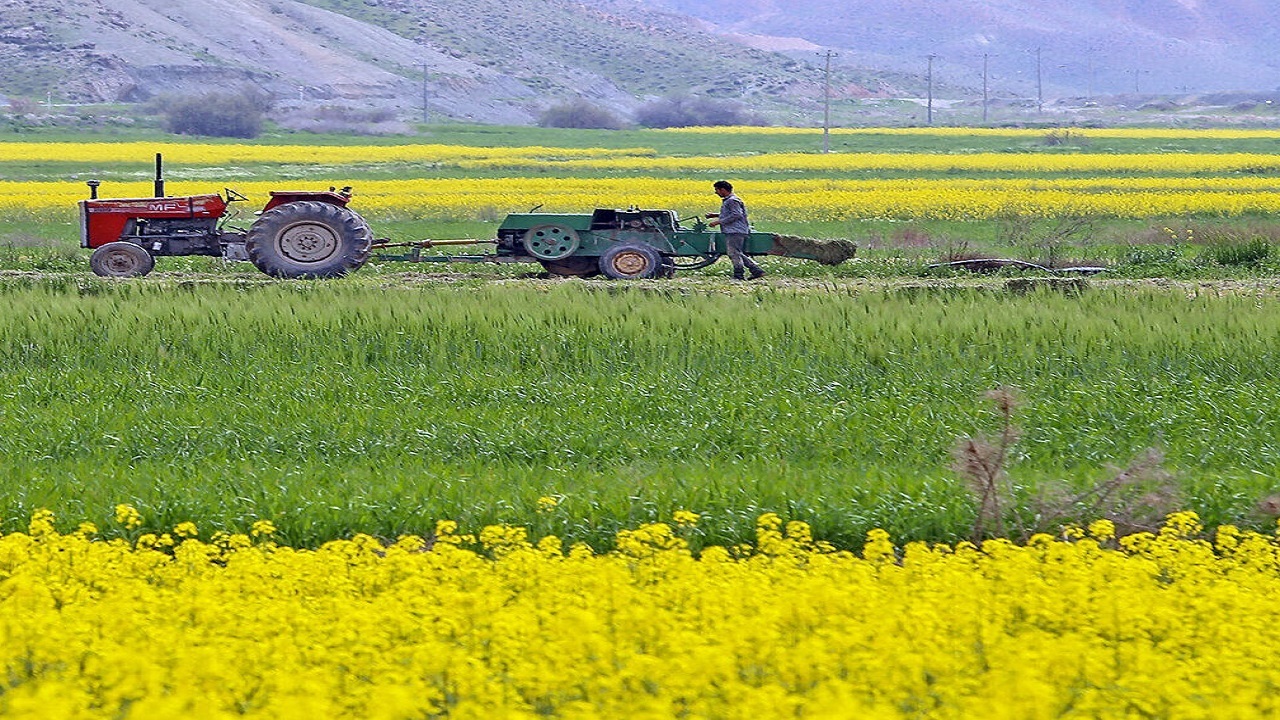 تجهیز و نوسازی اراضی در ۲۱۳ هکتار از مزارع اصفهان انجام می‌شود