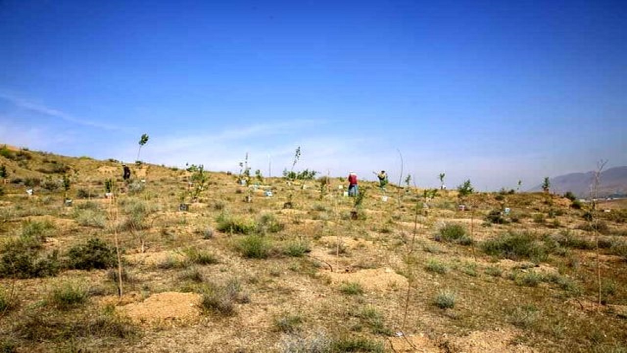 آبیاری اراضی باغستان با آب‌های زیرسطحی/ اجرای ۷هزار متر خط انتقال آب