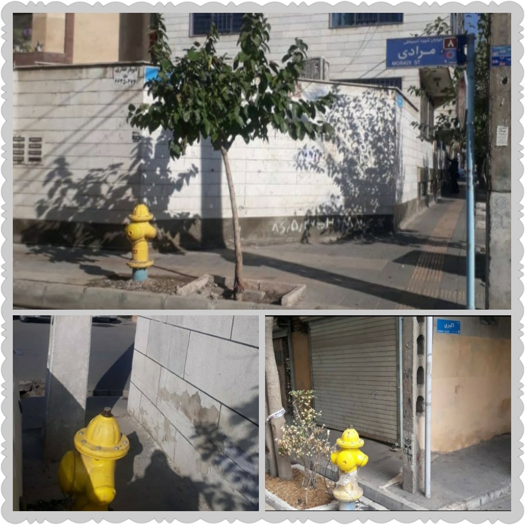 از افتتاح بزرگ ترین تره بار تهران تا سیاه پوشی تهران برای عزای امام حسین (ع)
