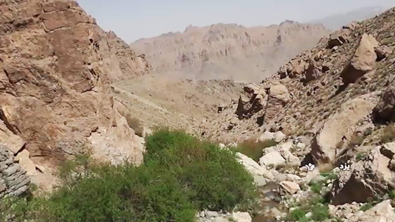 شیرکوه یزد، زیستگاه جانوران در حال انقراض + فیلم