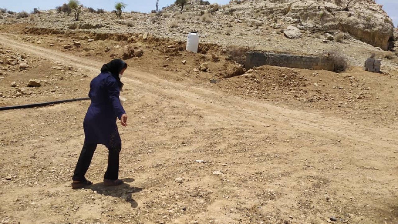 دامداران جمی به پرندگان دانه دادند