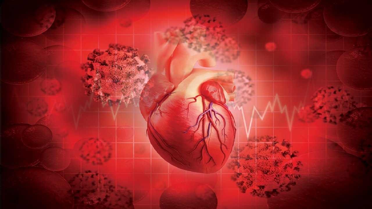 چگونه ویروس کرونا می‌تواند بر قلب تاثیر بگذارد؟