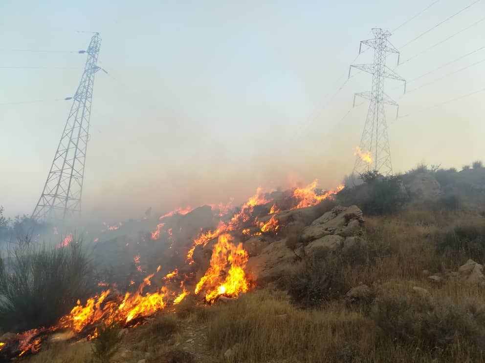 آتش سوزی در کوهستان دراک شیراز مهار شد