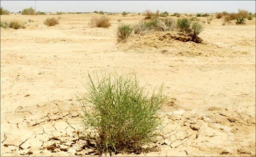 گرد و غبار