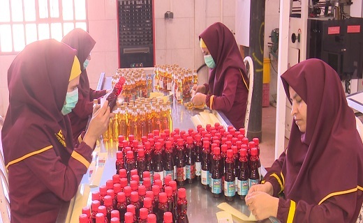 فرآوری زعفران