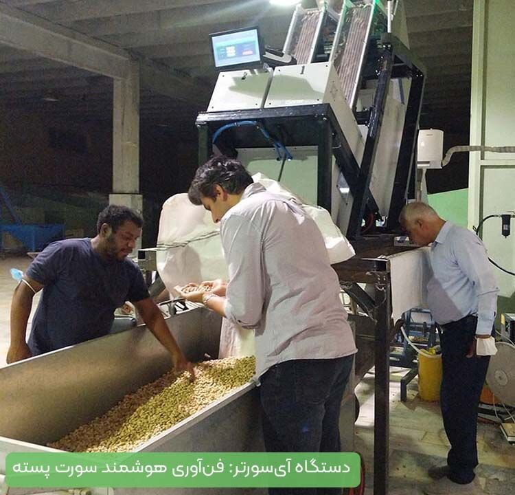 افزایش درآمد فروش پسته تنها با یک راه&zwnj;حل