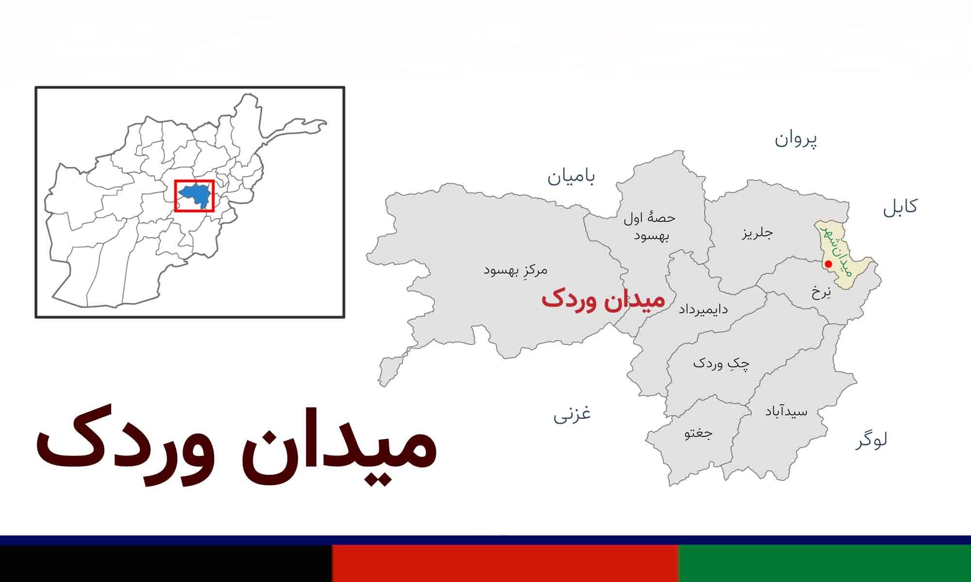 «میدان شهر»، مرکز ولایت میدان وردک به تصرف طالبان درآمد