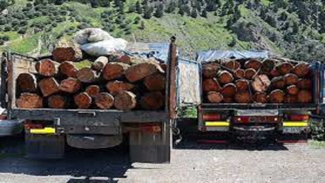 کشف چوب قاچاق در شهرستان ثلاث باباجانی